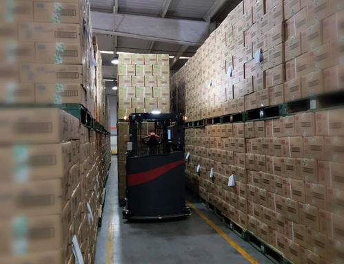 案例 板货堆叠应用 未来机器人助力食品加工行业打造柔性工厂